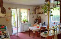 Casa individuala, 292 mp, 800 mp teren, finisaje clasice, expunere sudica!