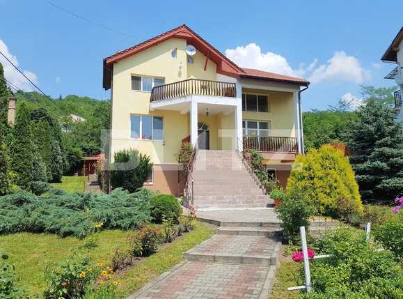 Casa de vânzare 7 camere Grigorescu - 33159CV | BLITZ Cluj-Napoca | Poza3