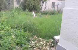 Casa individuala, 57 mp, 238 mp teren, renovata recent!