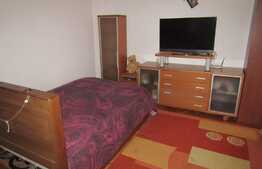 Apartament cu 2 camere, semidecomandat, 48 mp, zona strazii Paris