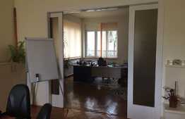 Imobil pentru clinica sau sediu firma in zona V Babes. 