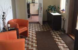 Imobil pentru clinica sau sediu firma in zona V Babes. 