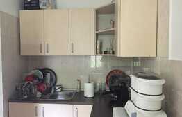 Imobil pentru clinica sau sediu firma in zona V Babes. 