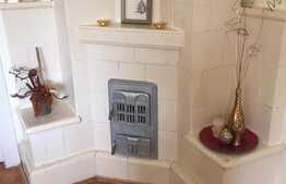 Imobil pentru clinica sau sediu firma in zona V Babes. 