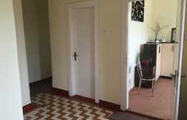 Imobil pentru clinica sau sediu firma in zona V Babes. 