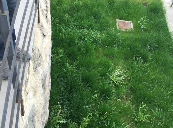 Spațiu comercial de vânzare Central - 33181SVC | BLITZ Cluj-Napoca | Poza16