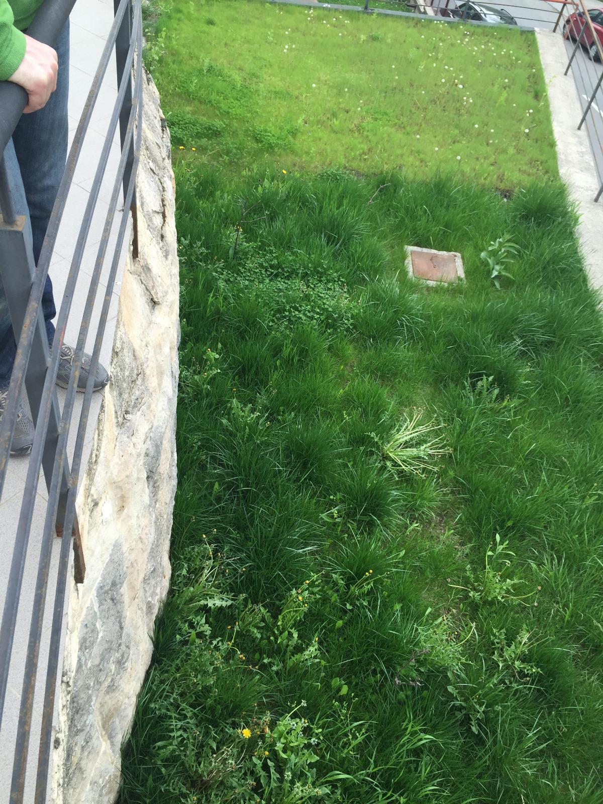 Spațiu comercial de vânzare Central - 33181SVC | BLITZ Cluj-Napoca | Poza16