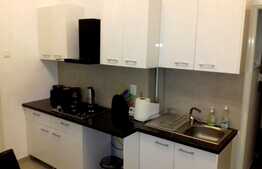 Apartament 2 camere, 71 mp, mobilat si utilat, zona Piata Mihai Viteazu