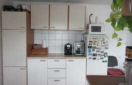 De vanzare casa individuala, 156 mp, Exterior Nord