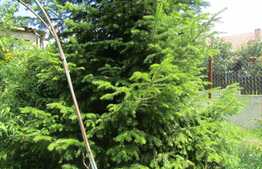 De vanzare casa cuplata, 180 mp, zona linistita