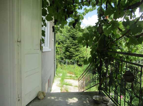 Casa de vânzare 3 camere Dambul Rotund - 33199CV | BLITZ Cluj-Napoca | Poza3