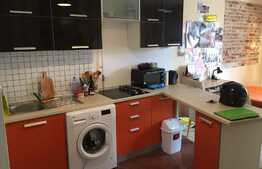 Garsoniera in zona ultracentrala, cladire renovata!