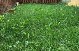 Garsoniera de vanzare 33 mp, curte interioara! Zona strazii Cetatii!