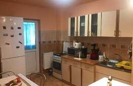 Apartament 2 camere decomandate, 60 mp, recent renovat, zona Big