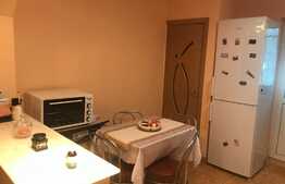 Apartament 2 camere decomandate, 60 mp, recent renovat, zona Big