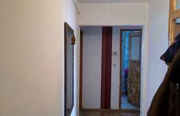 Apartament 2 camere, 52,40 mp, logie, zona Profi 