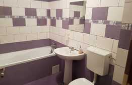 Garsoniera de inchiriat, decomandata, 32 mp, gradina 50 mp, zona strazii Porii!