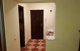 Garsoniera de inchiriat, decomandata, 32 mp, gradina 50 mp, zona strazii Porii!