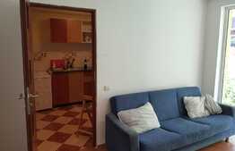 Garsoniera de inchiriat, decomandata, 32 mp, gradina 50 mp, zona strazii Porii!