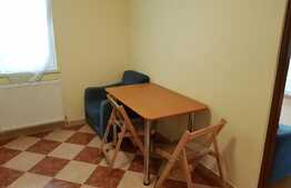 Garsoniera de inchiriat, decomandata, 32 mp, gradina 50 mp, zona strazii Porii!