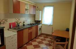 Garsoniera de inchiriat, decomandata, 32 mp, gradina 50 mp, zona strazii Porii!