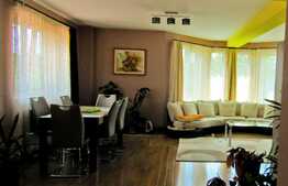 Scadere de pret! Casa individuala, 340 mp utili, 820 mp teren, zona linistita!