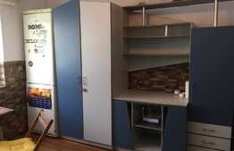 De vanzare garsoniera cocheta 19 mp, zona strazii Dambovitei