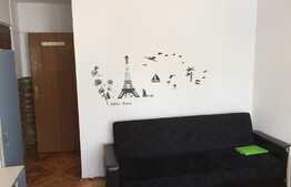 De vanzare garsoniera cocheta 19 mp, zona strazii Dambovitei