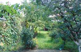 Casa individuala, 74 mp, teren 556 mp, zona Expo Transilvania