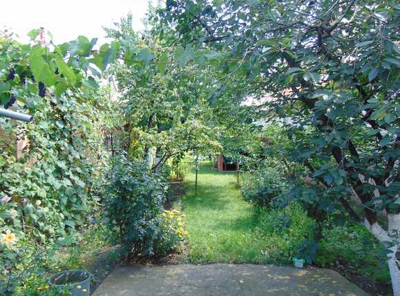 Casa de vânzare 2 camere Marasti - 33284CV | BLITZ Cluj-Napoca | Poza6