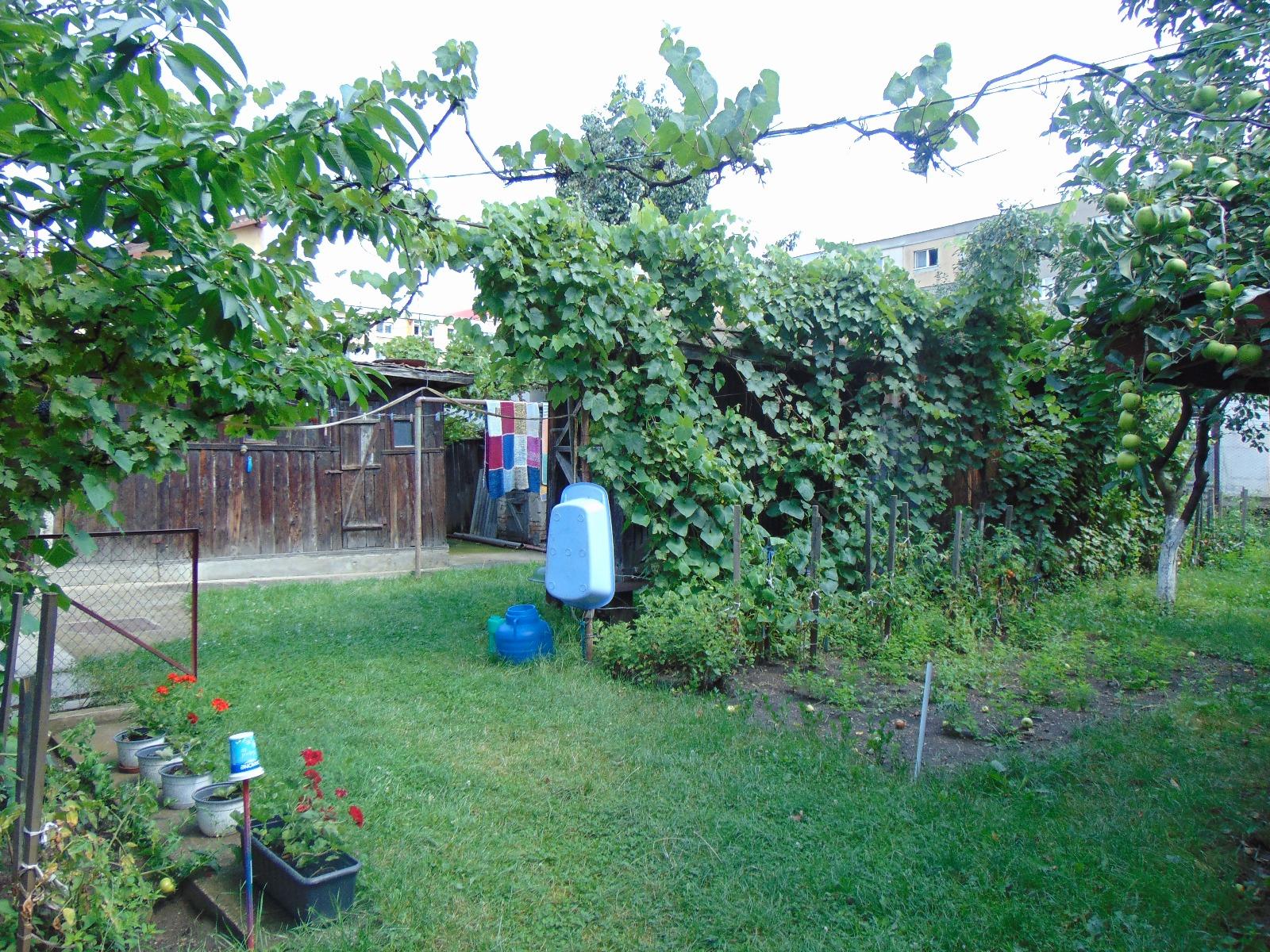 Casa de vânzare 2 camere Marasti - 33284CV | BLITZ Cluj-Napoca | Poza8