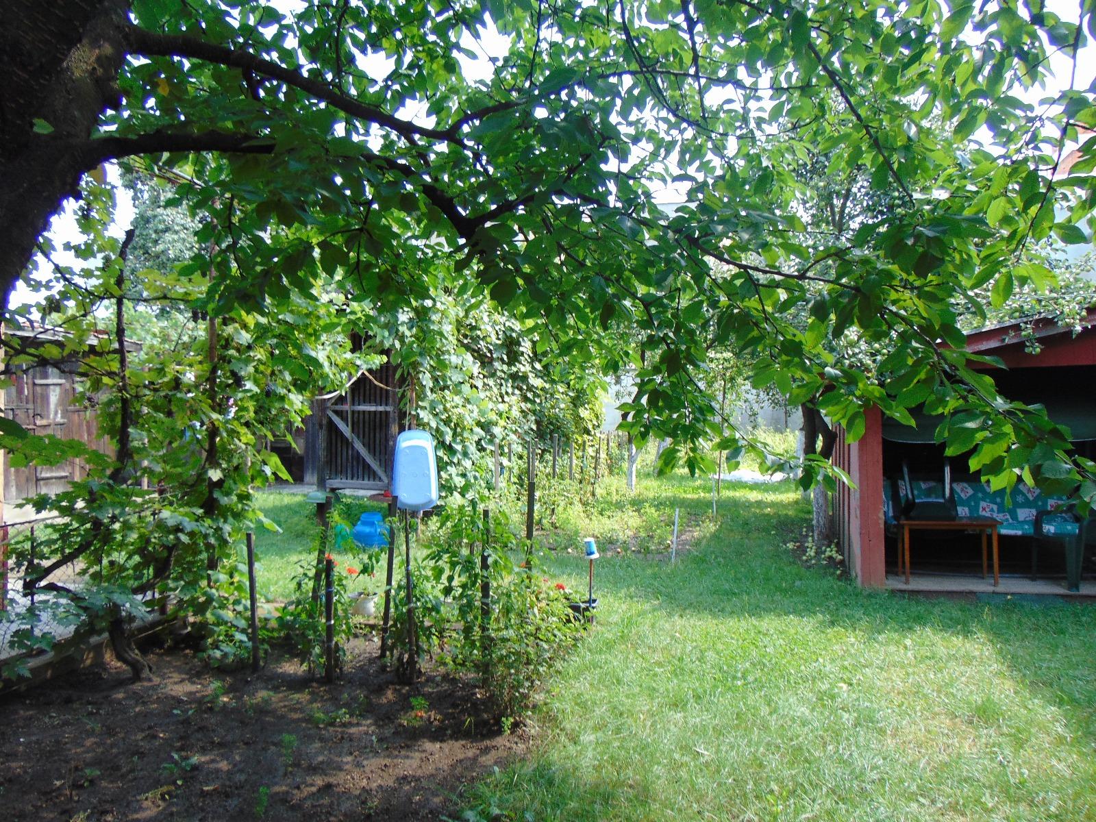 Casa de vânzare 2 camere Marasti - 33284CV | BLITZ Cluj-Napoca | Poza7