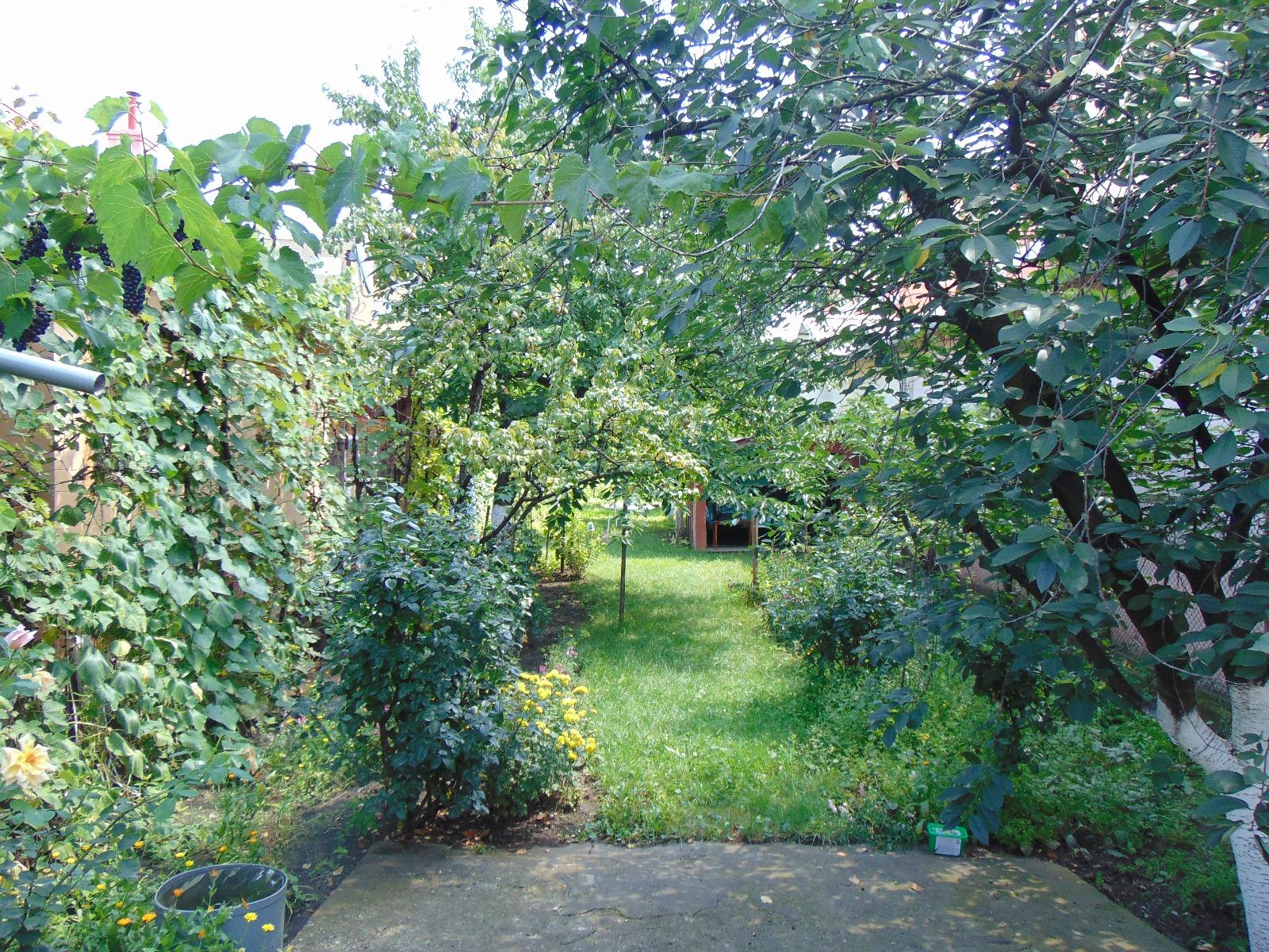 Casa de vânzare 2 camere Marasti - 33284CV | BLITZ Cluj-Napoca | Poza6