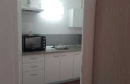 Garsoniera, 45 mp, decomandata, zona Big