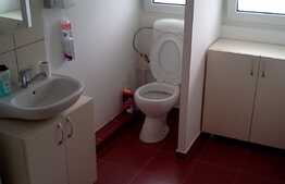 Garsoniera, 45 mp, decomandata, zona Big