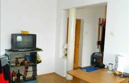 Apartament 1 camera, 40 mp, GRUIA, etaj intermediar