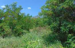 Teren de vanzare, 448 mp, cu autorizatie de constructie, zona strazii Bulevardul Muncii