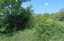 Teren de vanzare, 448 mp, cu autorizatie de constructie, zona strazii Bulevardul Muncii