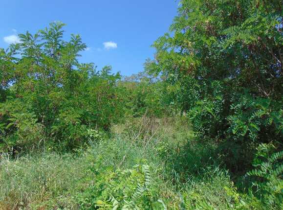 Teren de vânzare Iris - 33294TV | BLITZ Cluj-Napoca | Poza4