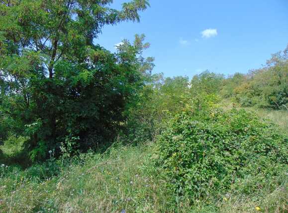 Teren de vânzare Iris - 33294TV | BLITZ Cluj-Napoca | Poza2