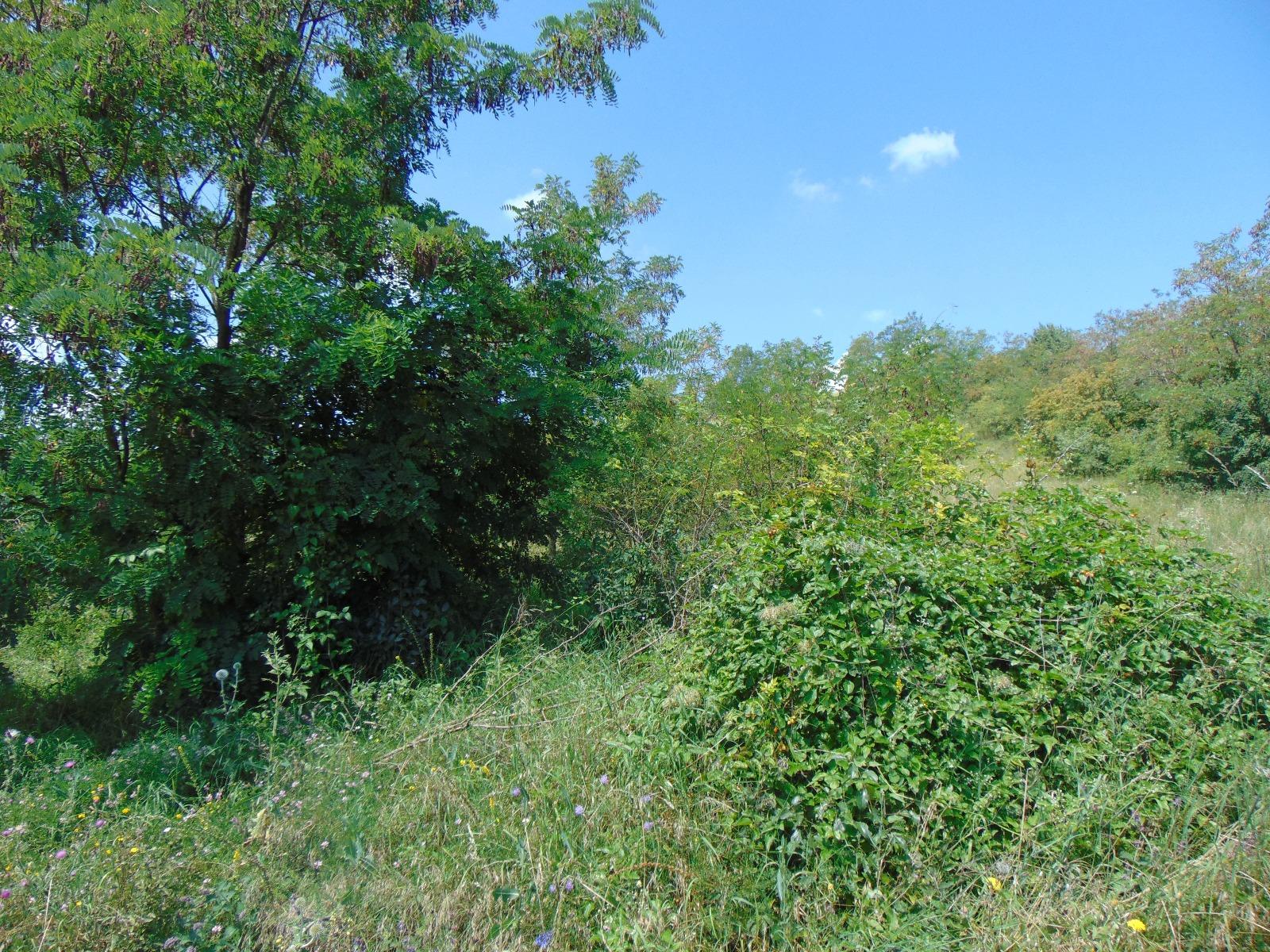 Teren de vânzare Iris - 33294TV | BLITZ Cluj-Napoca | Poza2