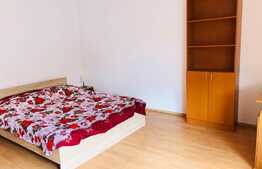 Apartament 2 camere, decomandat, zona strazii Nichita Stanescu