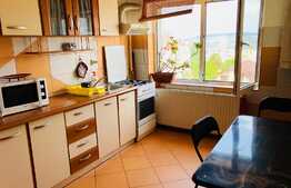 Apartament 2 camere, decomandat, zona strazii Nichita Stanescu