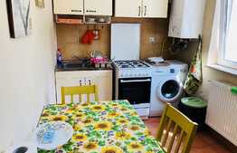 Apartament 1 camera, 38 mp, terasa 56 mp, zona UMF