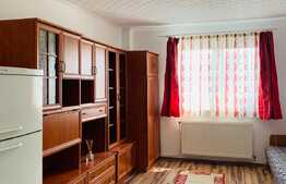 Garsoniera, 21 mp, renovata recent, zona Expo Transilvania