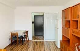 Garsoniera, 21 mp, renovata recent, zona Expo Transilvania