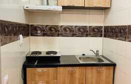 Garsoniera, 21 mp, renovata recent, zona Expo Transilvania