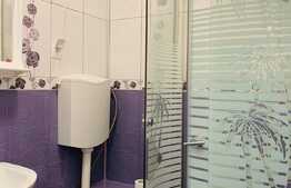 Garsoniera, 21 mp, renovata recent, zona Expo Transilvania