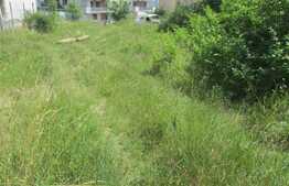 Teren 600 mp, Autorizatie Constructie duplex