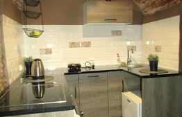 Apartament perfect pentru investitie, Zona Piata Muzeului